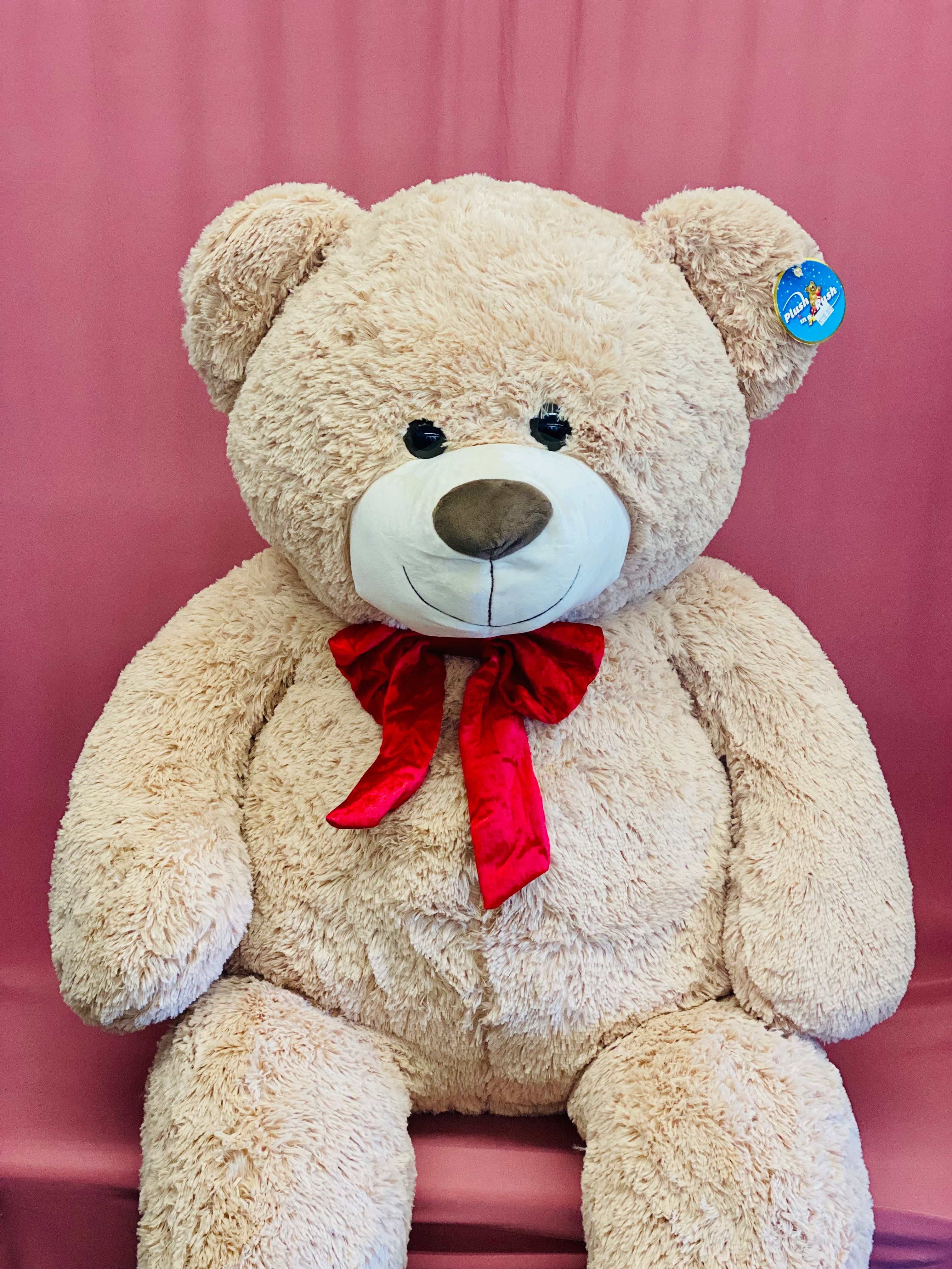 XL Valentines Bear